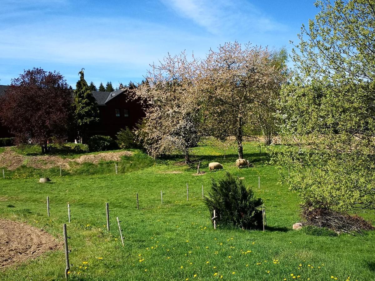 Ferienwohnungen 1 Bis 4 "Pumphut'S Scheune" Lengenfeld (Saxony) Exterior foto